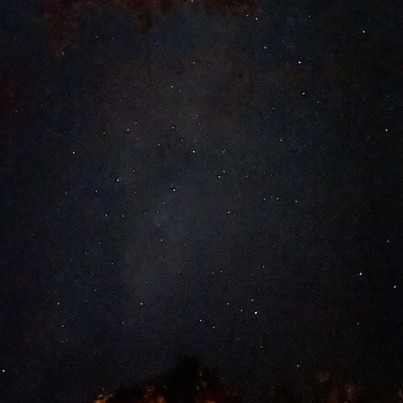 Meet your Posher, Maddie - Picture 1 of 1